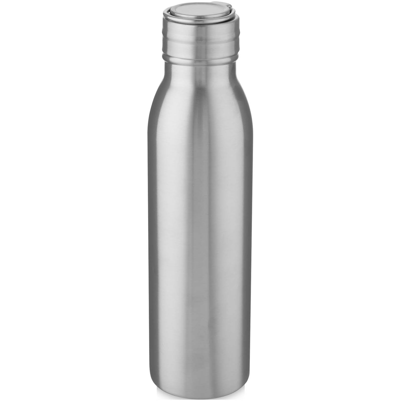 Harper 700 ml Sportflasche aus Edelstahl mit Metallschlaufe silber