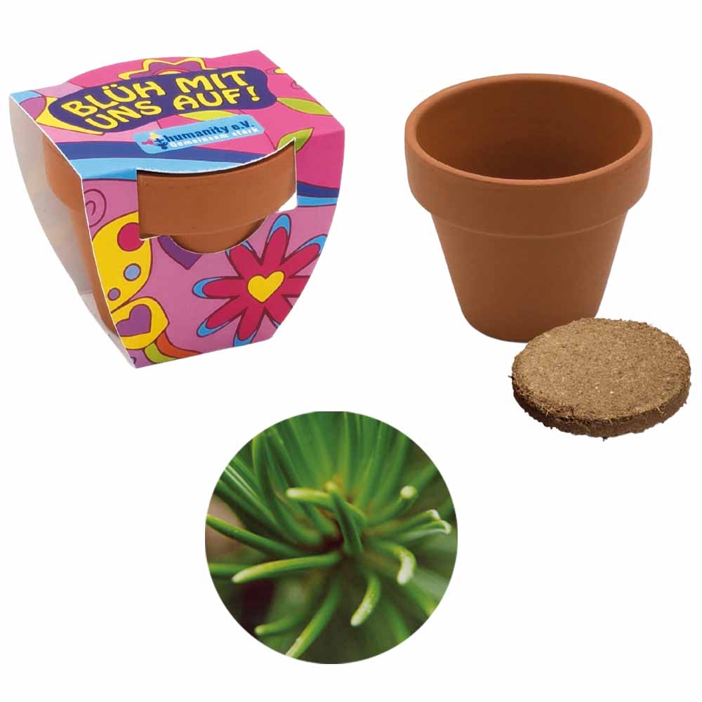 Terracotta Pflanztöpfchen