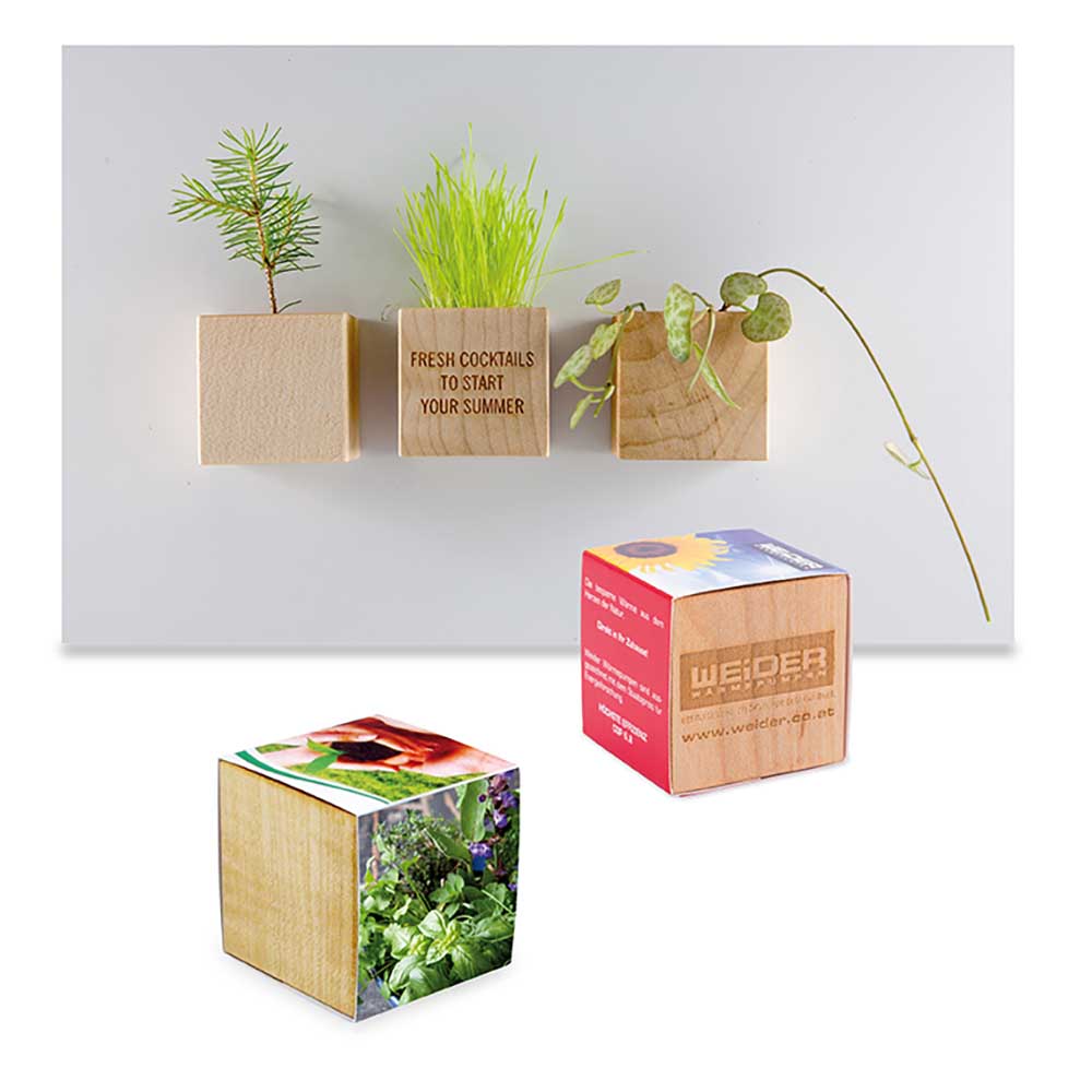 Pflanz-Holz Magnet mit Samen