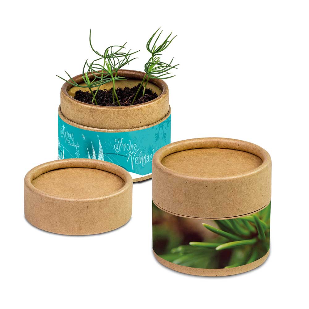 Pflanz-Cup mit Samen - Weihnachten