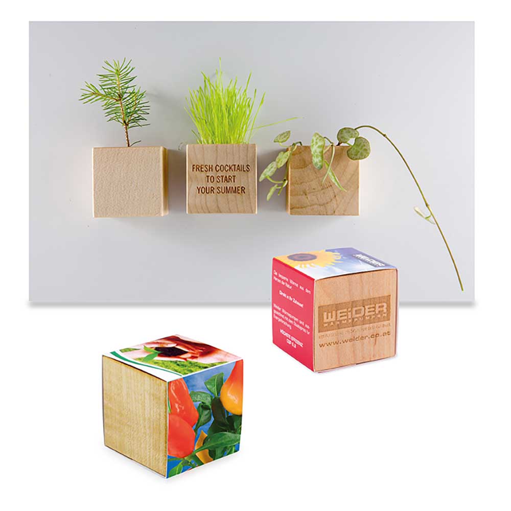 Pflanz-Holz Magnet mit Samen