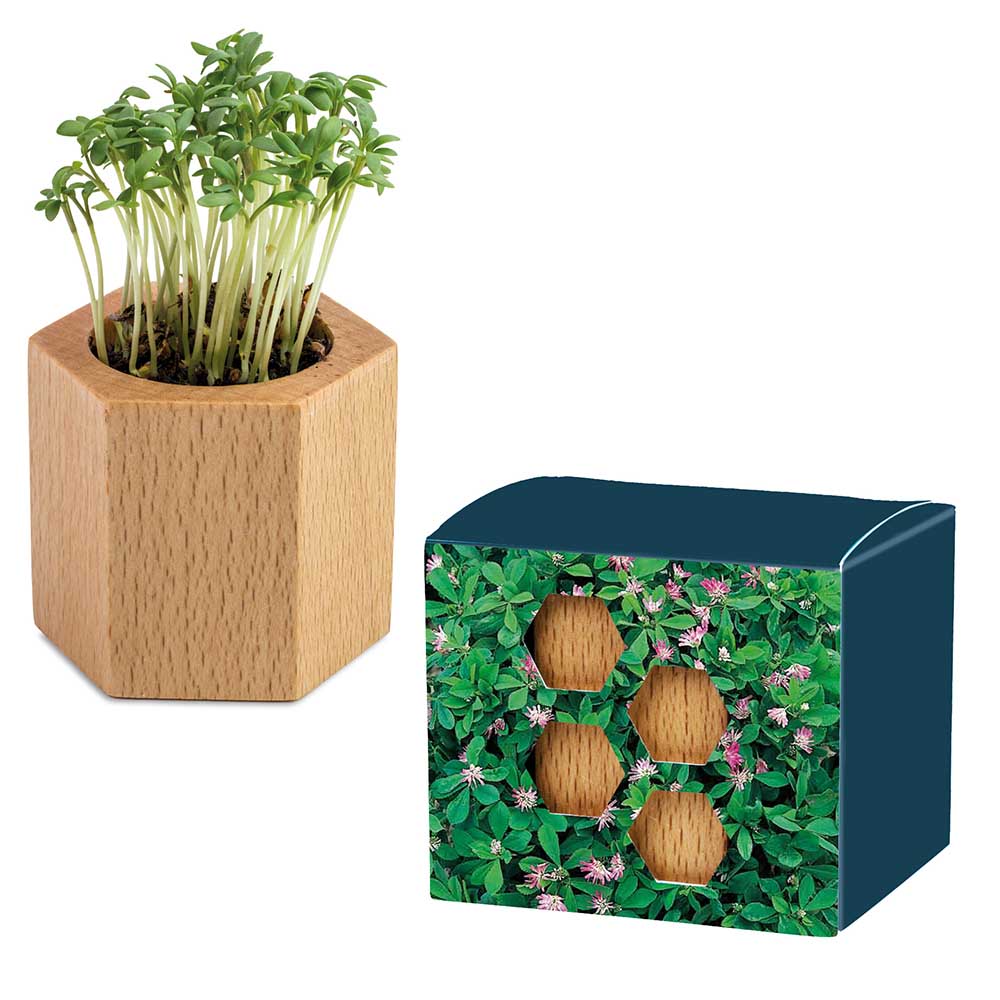 Pflanz-Holz Hexagon mit Samen - Ostern