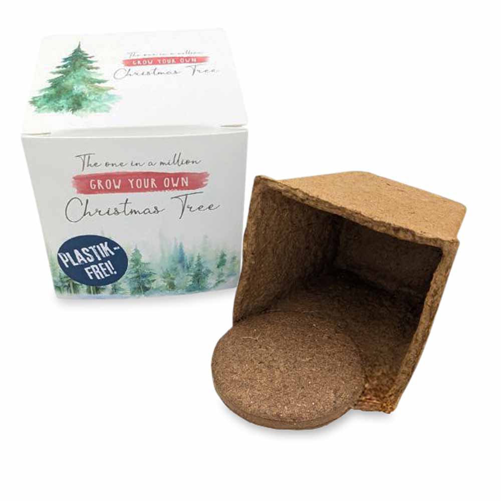 Würfel Samenpflanzset (groß)