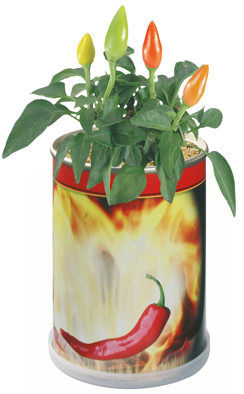 Chilidose Hot