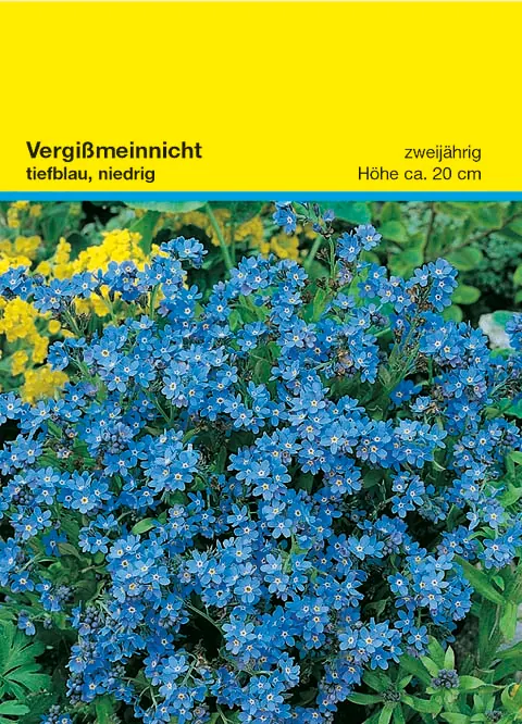 Samentütchen Vergissmeinnicht 82 x 114 mm