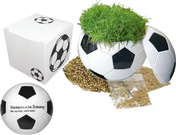 Präsentpackung Fußball