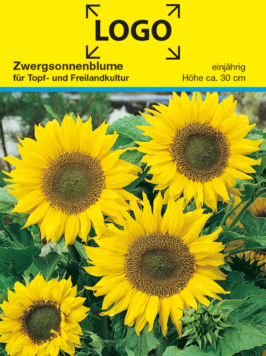 Samentütchen Zwergsonnenblume 82 x 114 mm