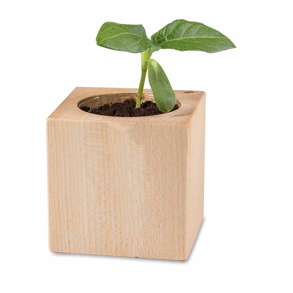 Pflanz-Holz - Standardmotiv - Sonnenblume