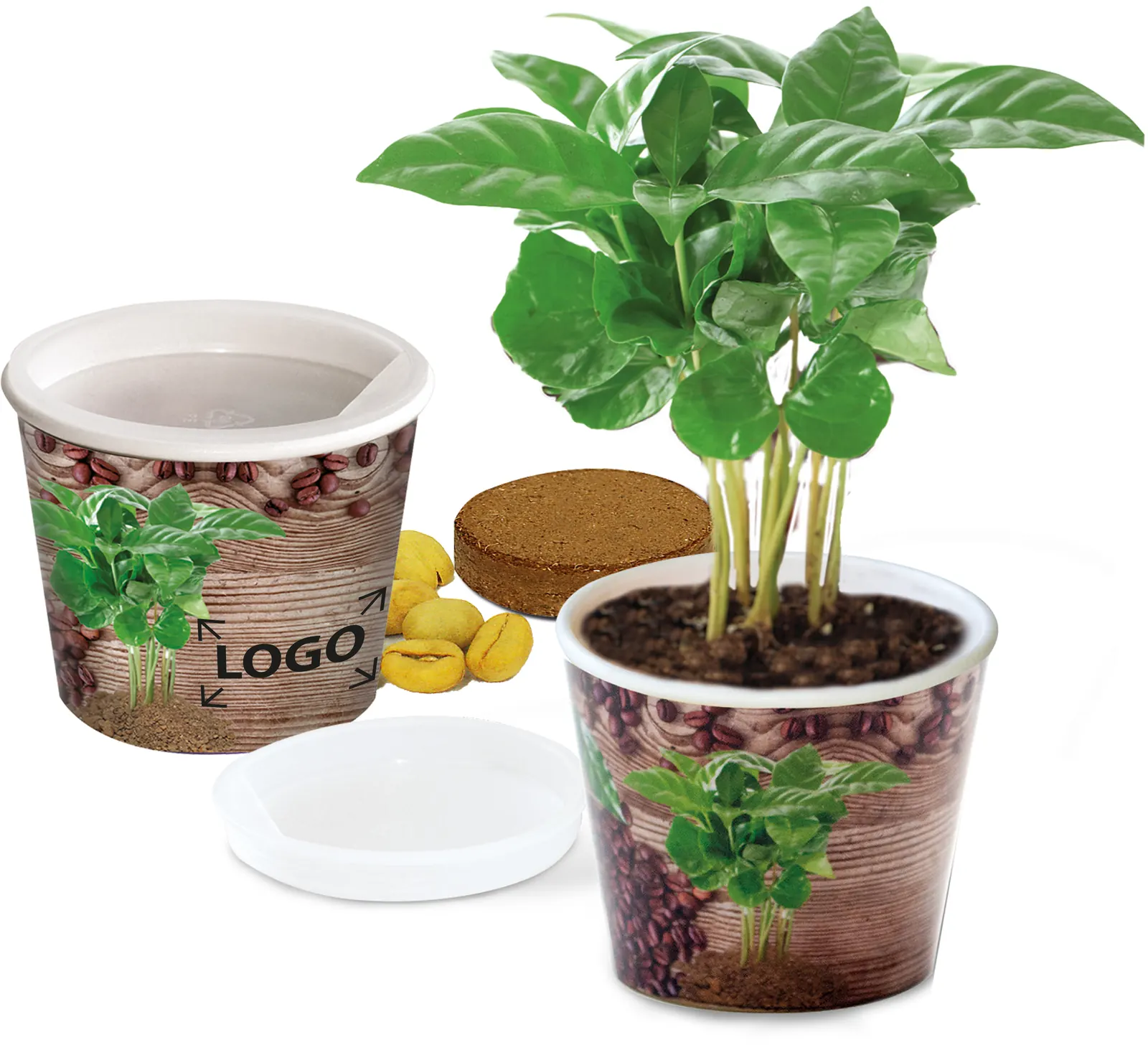 Coffee 2Grow