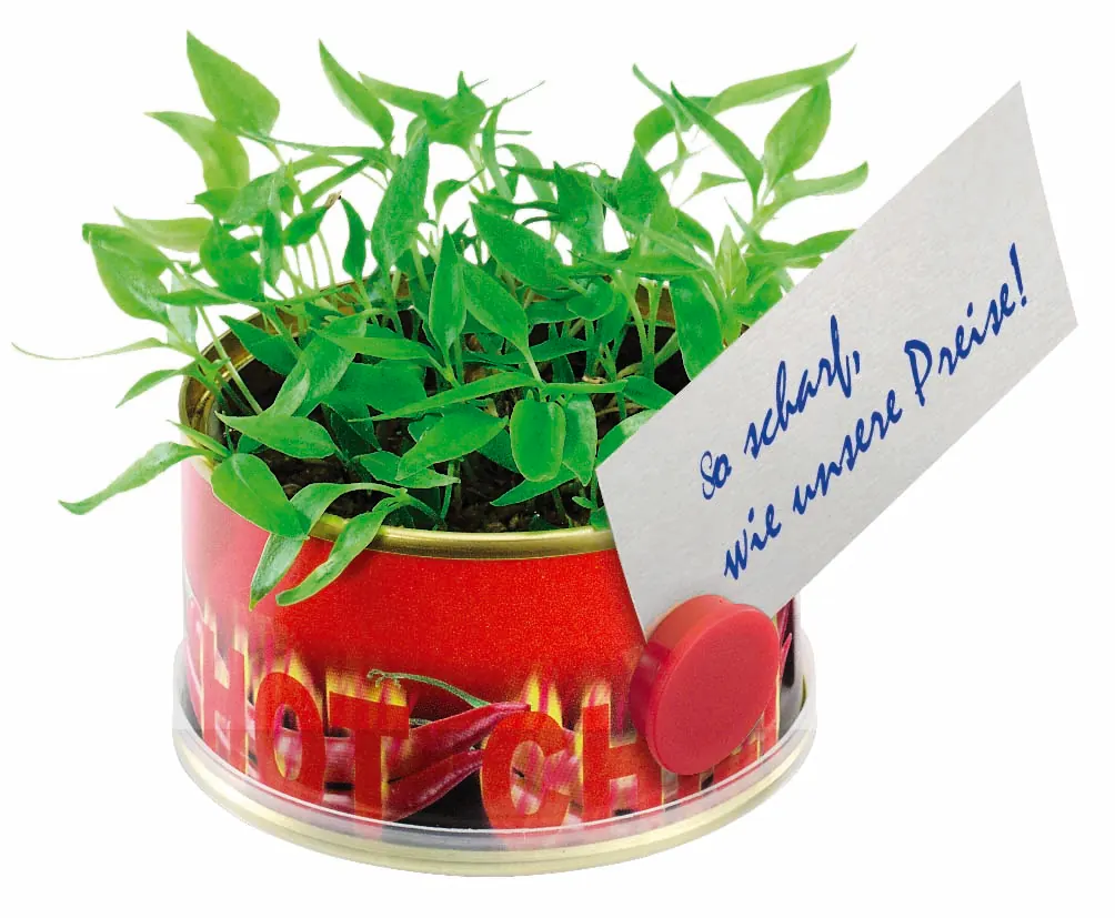 Minigarten Hot mit Magnet