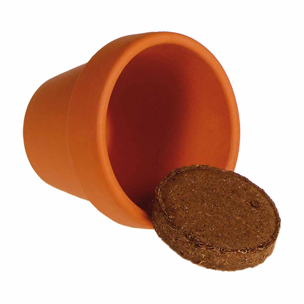 Glück aus der Schachtel - Pflanzset