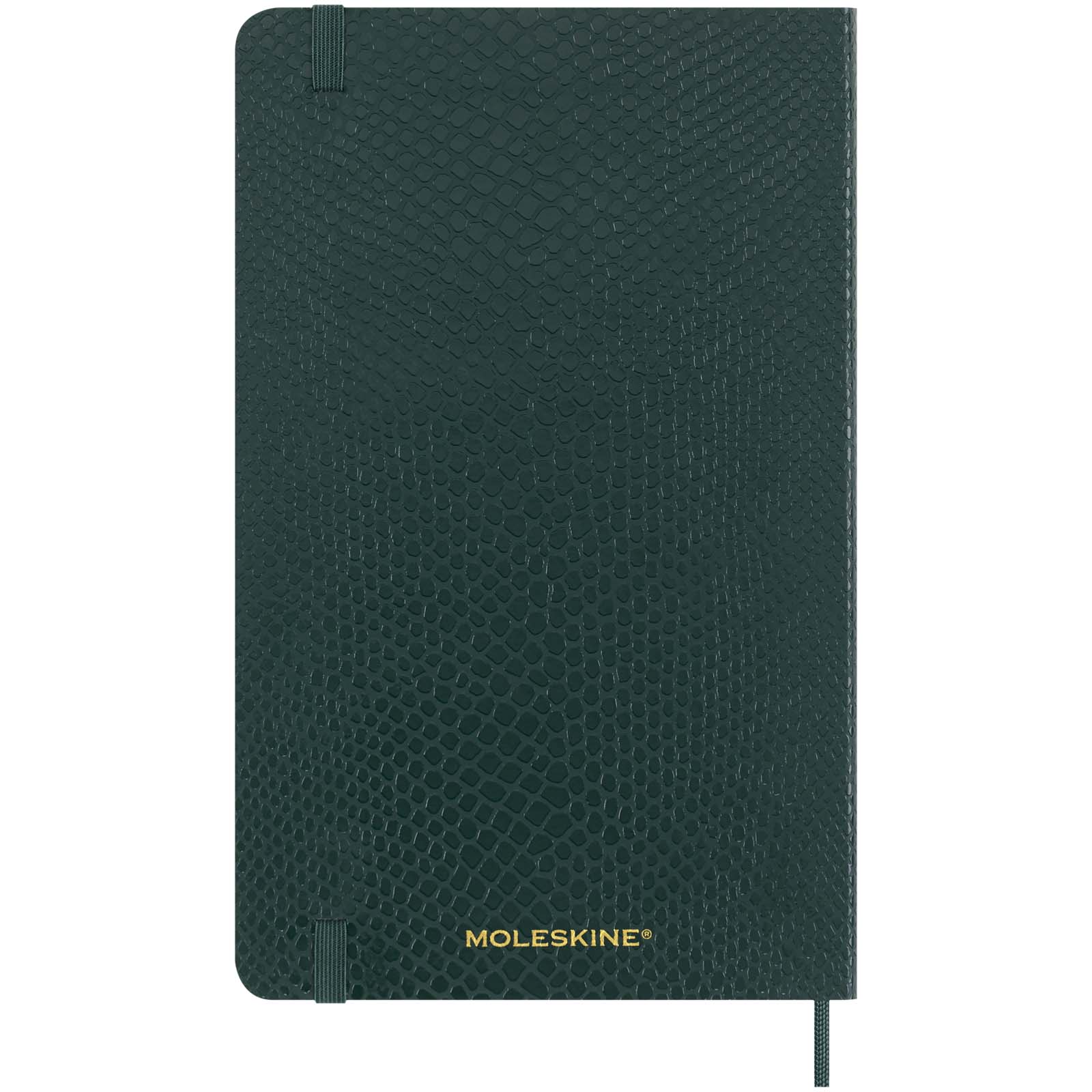 Moleskine 100% VEGEA® Boa Softcover Notizbuch L – liniert grün