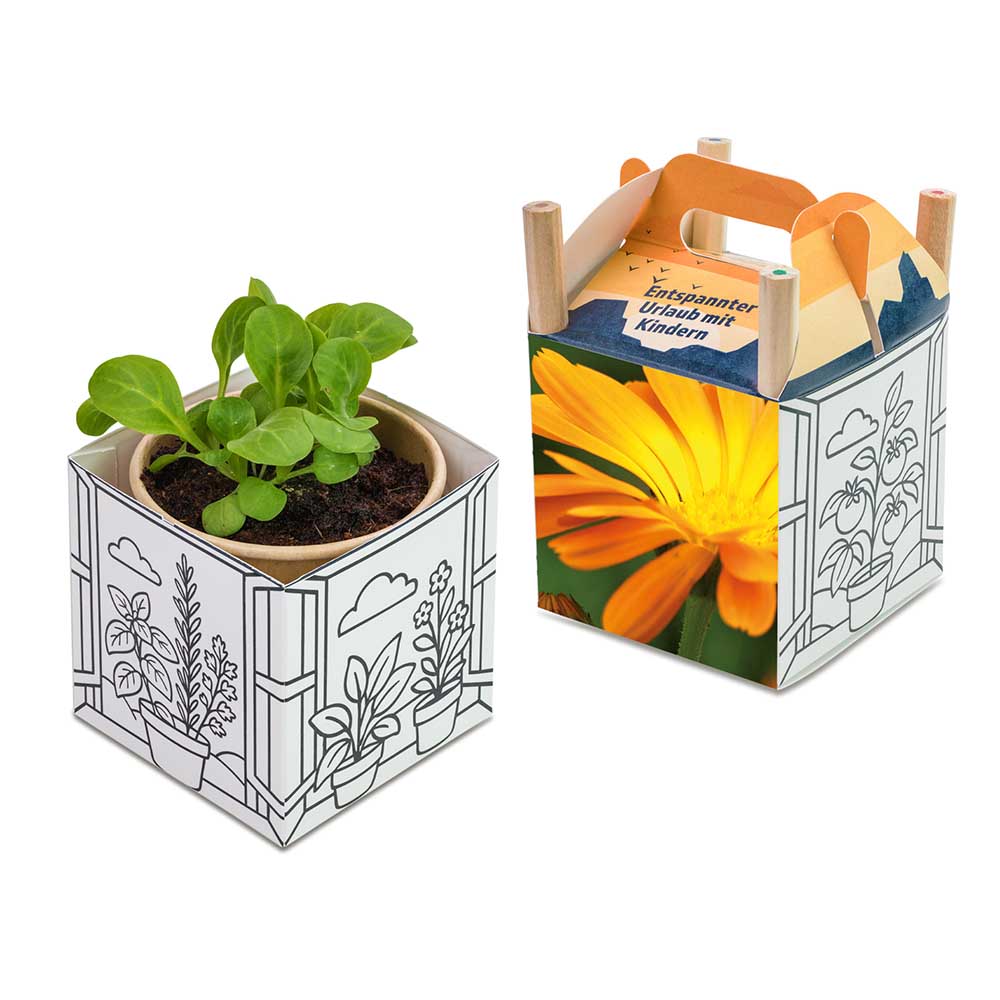 Colour & Grow House
