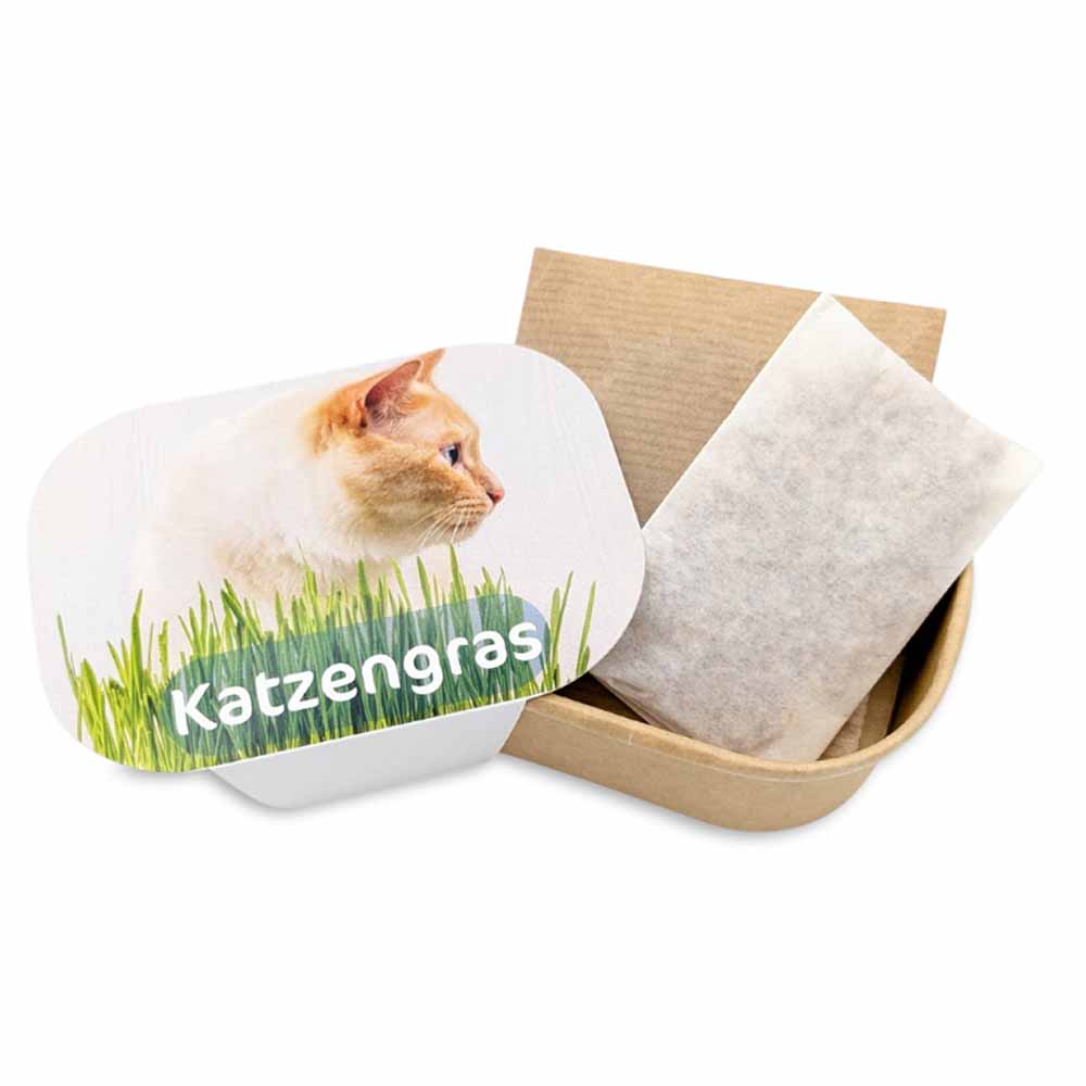 Katzengras Pflanzset - Katzengras