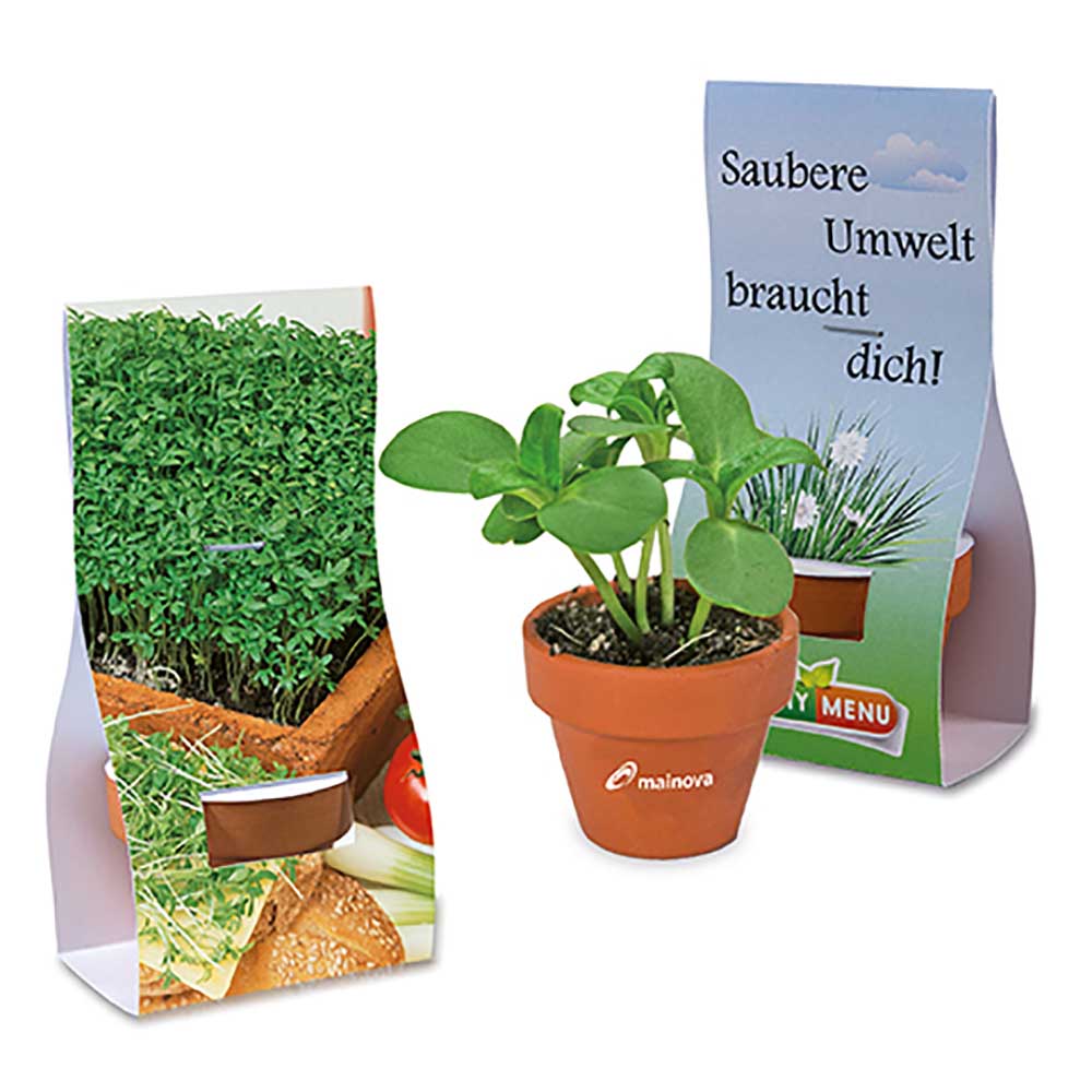 Logo-Töpfchen Überreichverpackung mit Samen