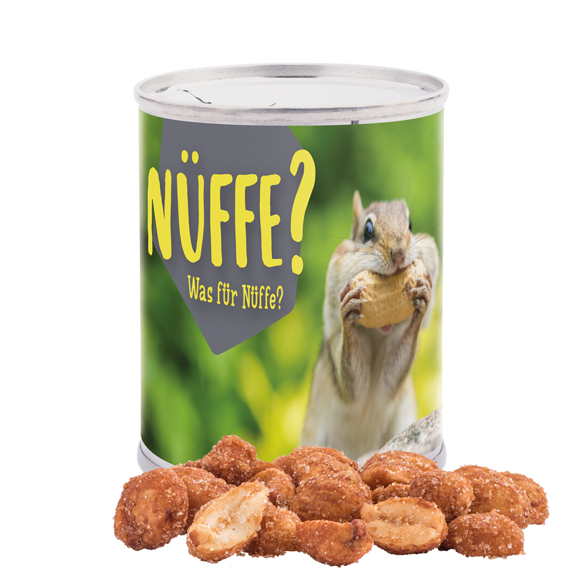 Snack Dose, Erdnüsse geröstet und gesalzen