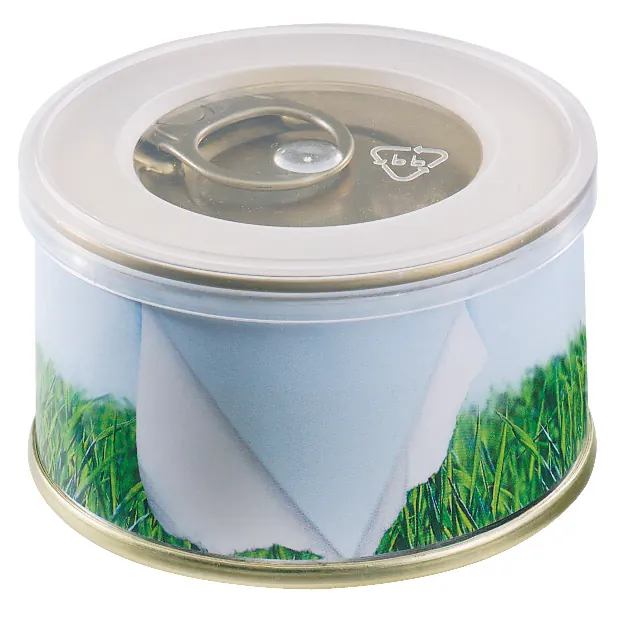 Minigarten Gras ohne Magnet