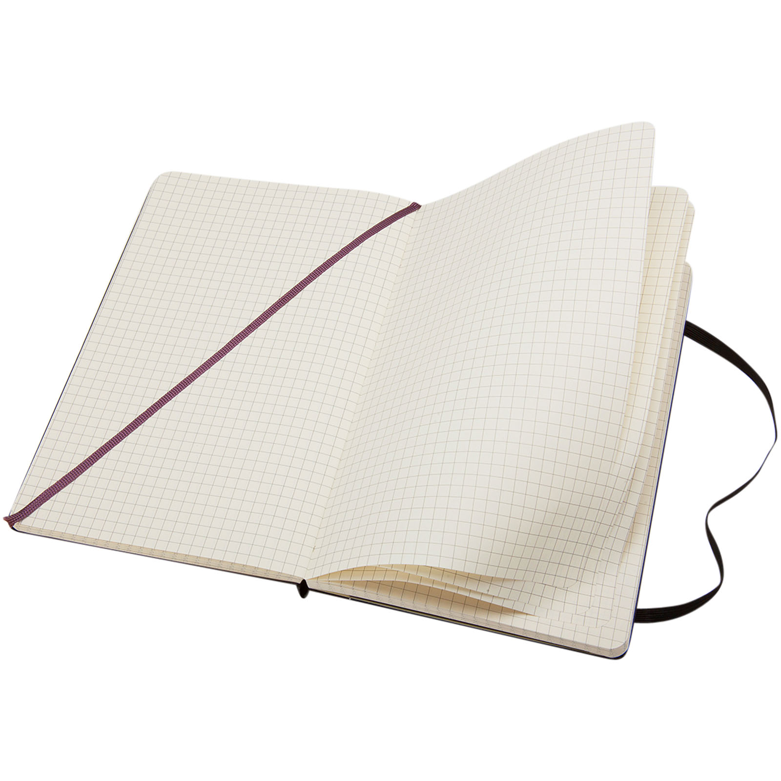 Moleskine Classic Hardcover Notizbuch L – kariert schwarz