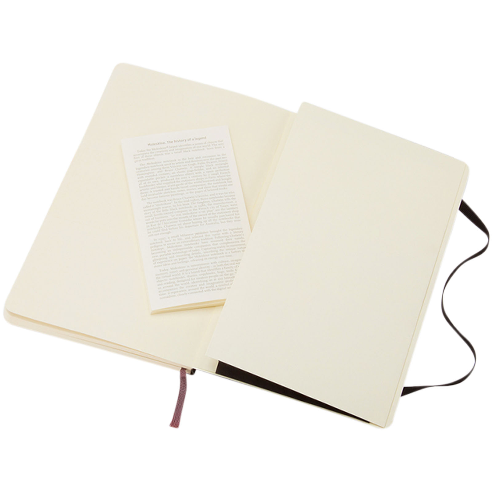 Moleskine Classic Softcover Notizbuch L – liniert schwarz