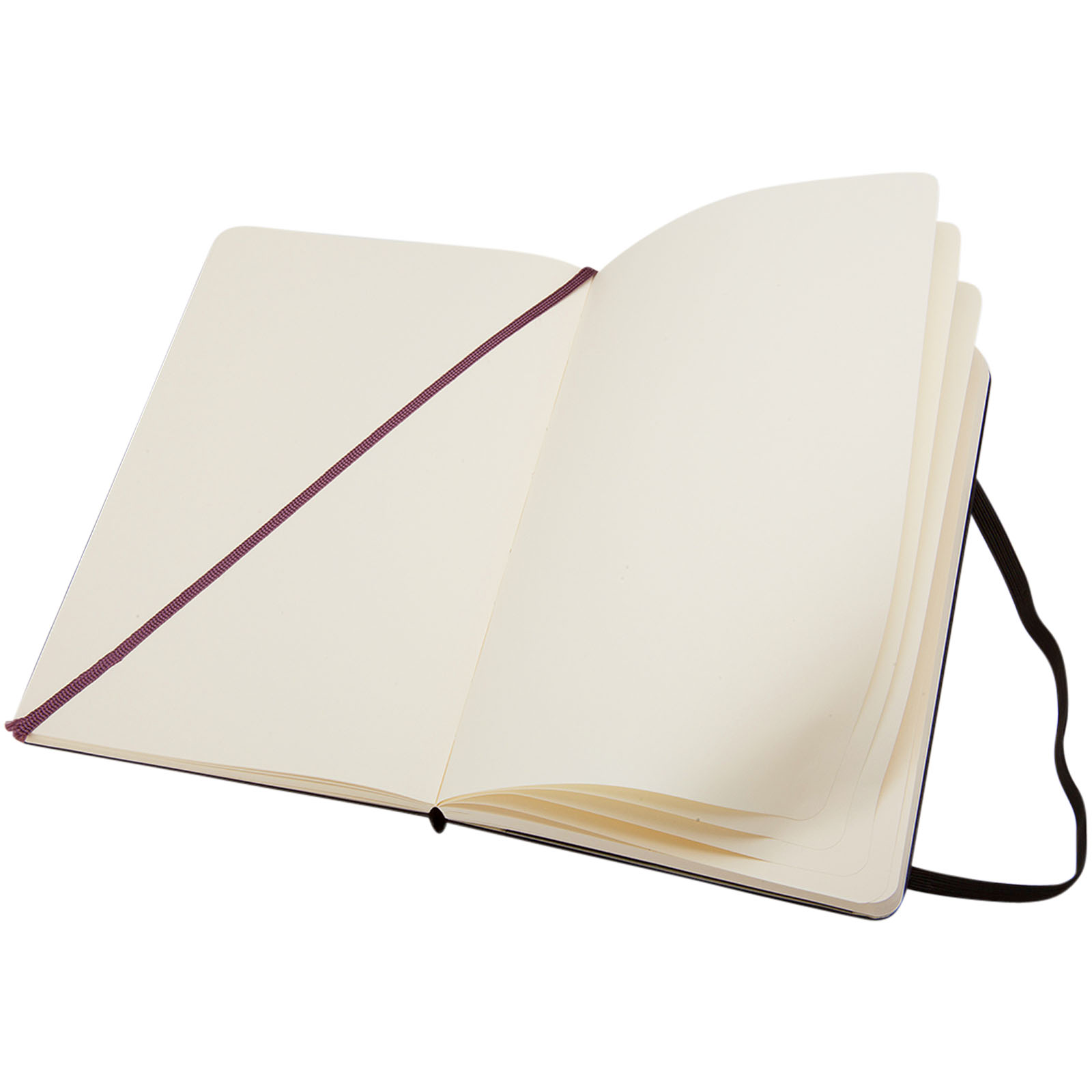 Moleskine Classic Hardcover Notizbuch L – blanko schwarz