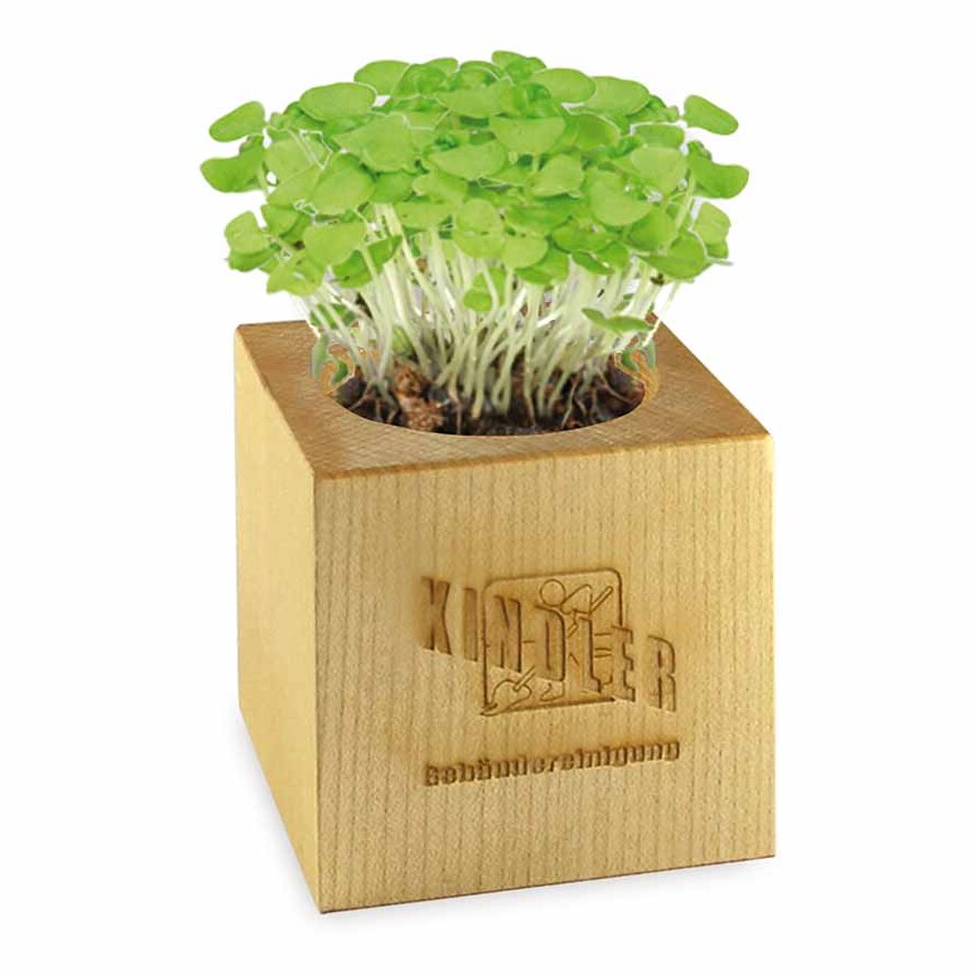 Pflanz-Holz Maxi mit Samen