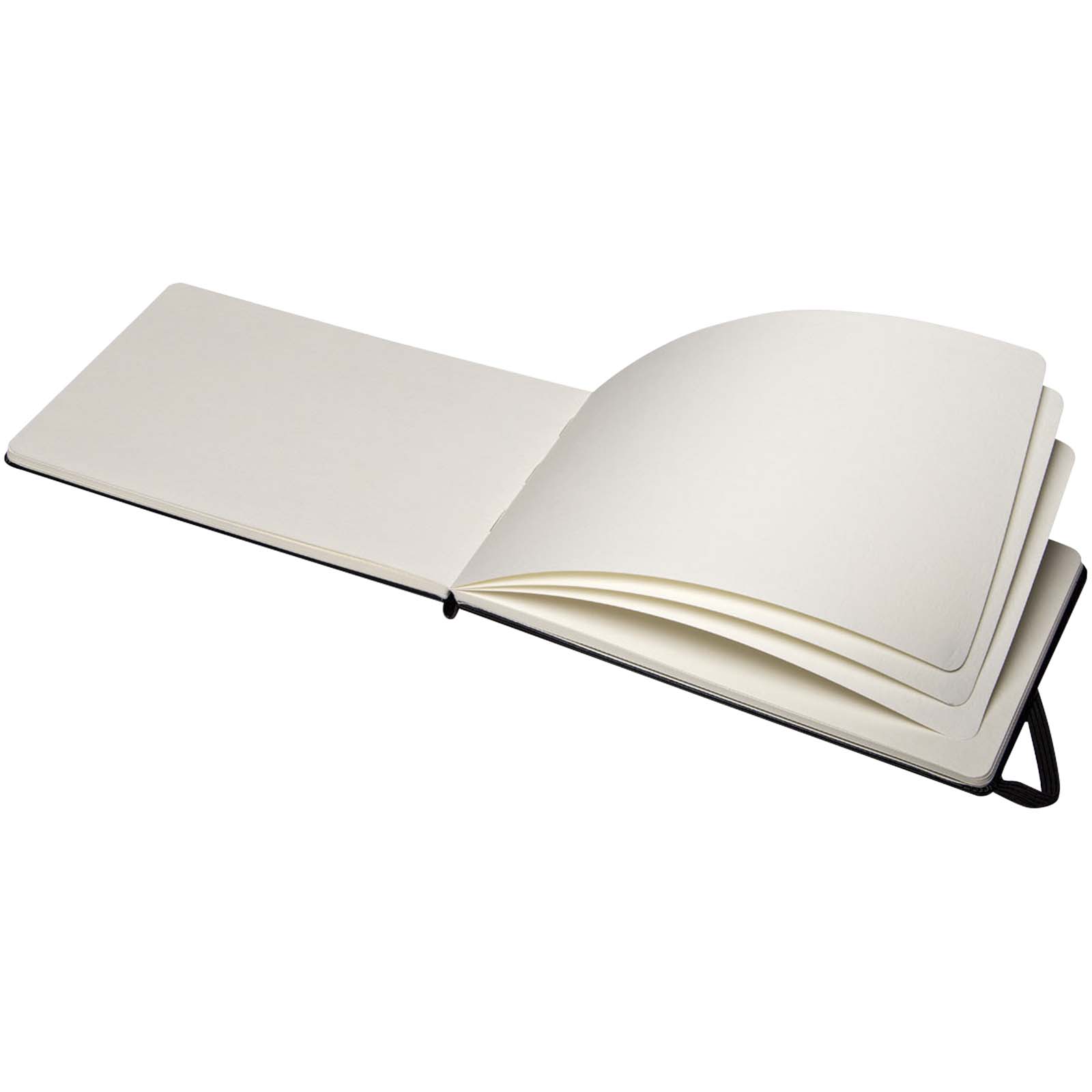 Moleskine Large Art Aquarellbuch schwarz