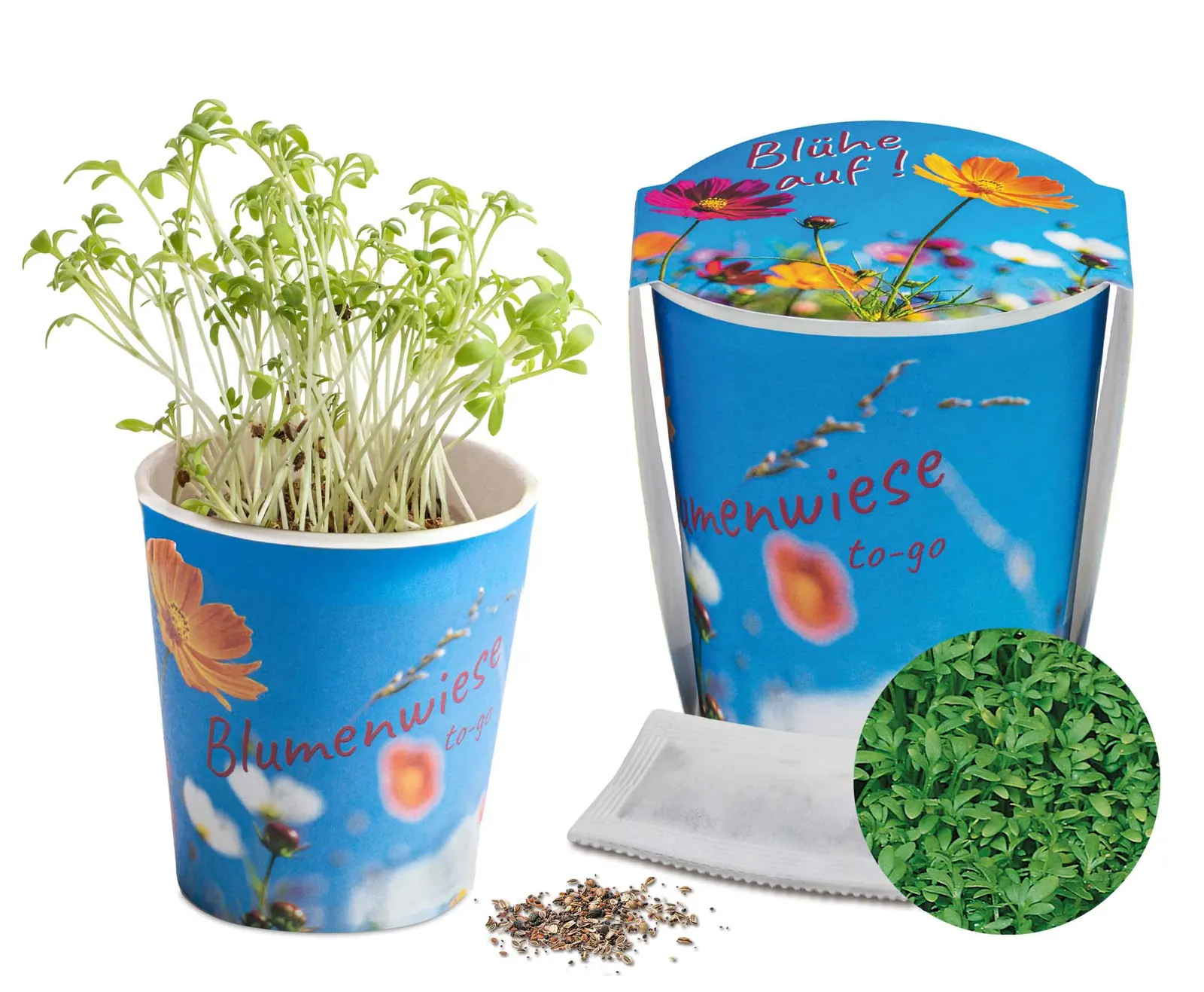 Blumenwiese To-Go - Ostern