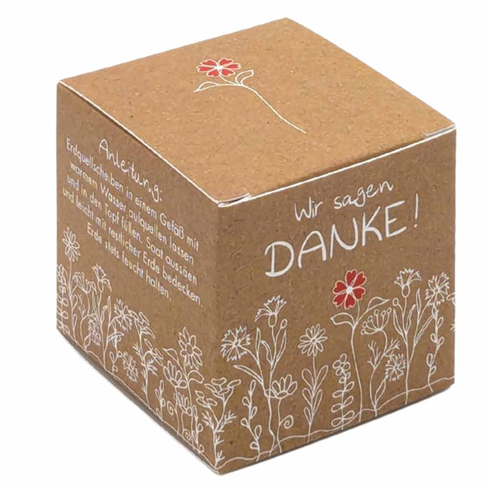 Würfel Samenpflanzset (klein)