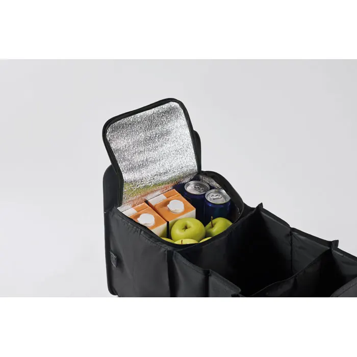 Auto-Organizer
