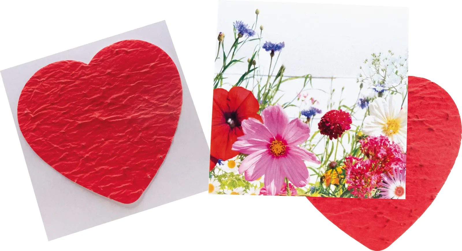 Herzliche Blumengrüße