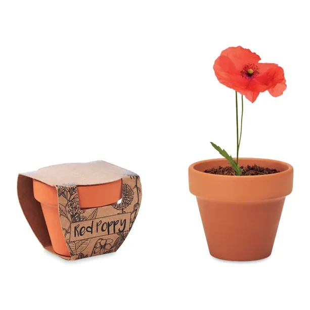Terracotta-Topf Mohnblume
