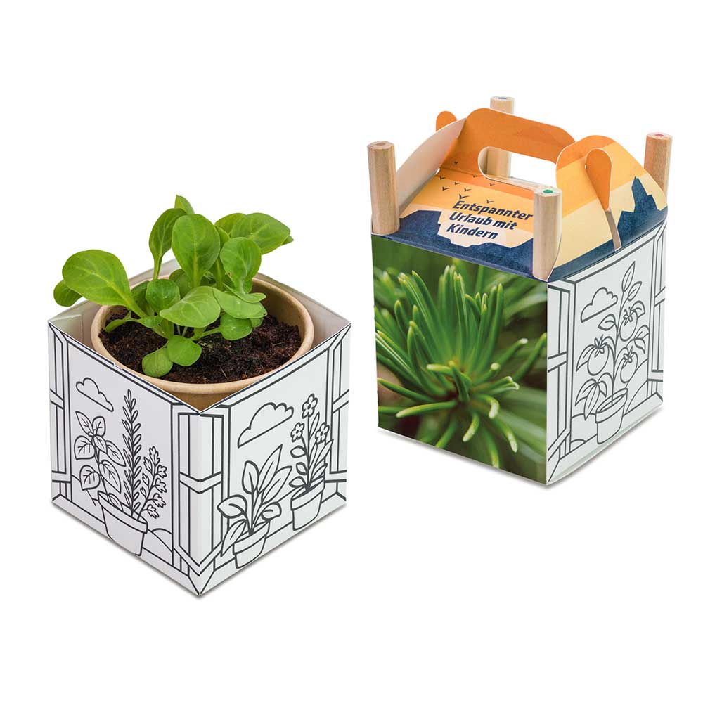 Colour & Grow House