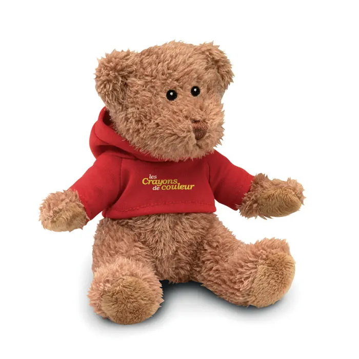 Teddybär mit Hoody 
