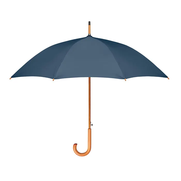 Regenschirm