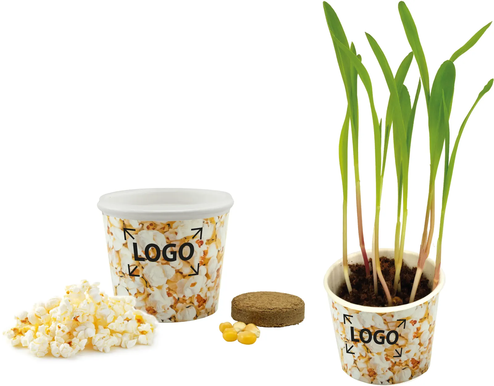 Snack 2Grow Popcorn