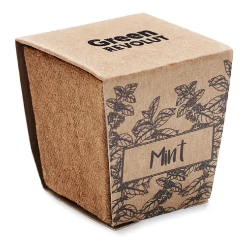 Pflanz-Set Minze