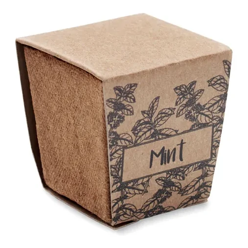 Pflanz-Set Minze