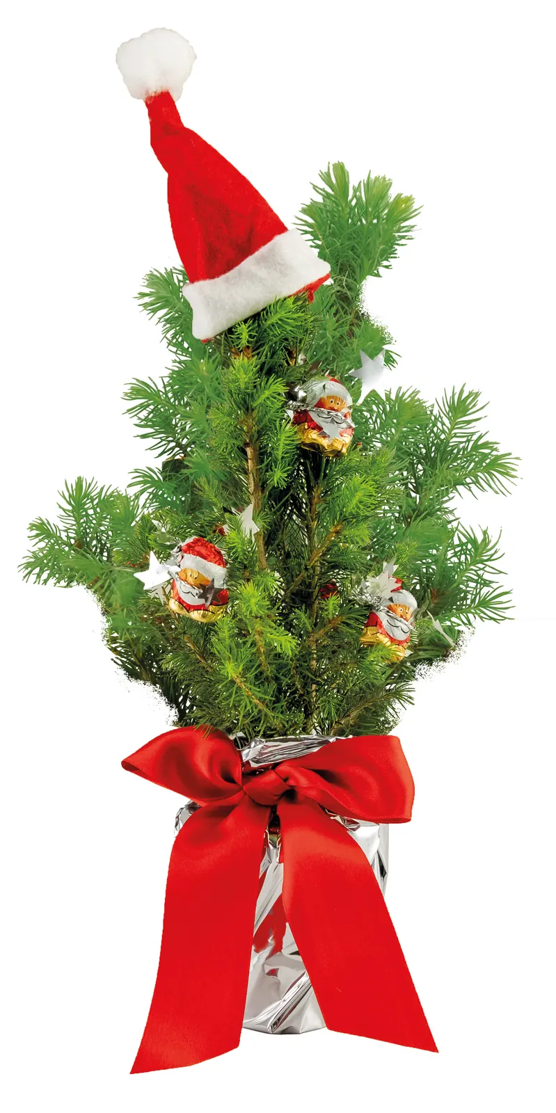 Nikolaus-Bäumchen 20-30 cm