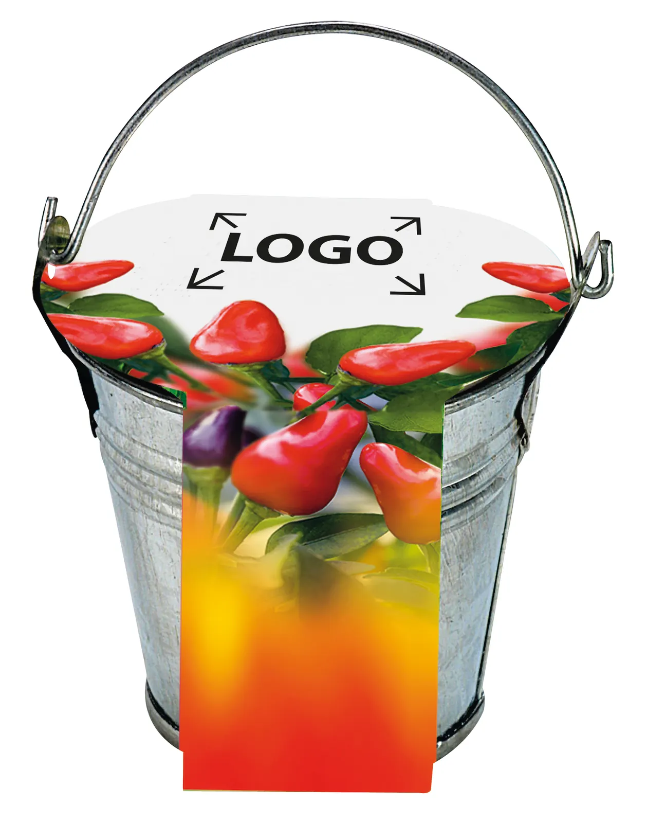 Zinkeimerchen Chili