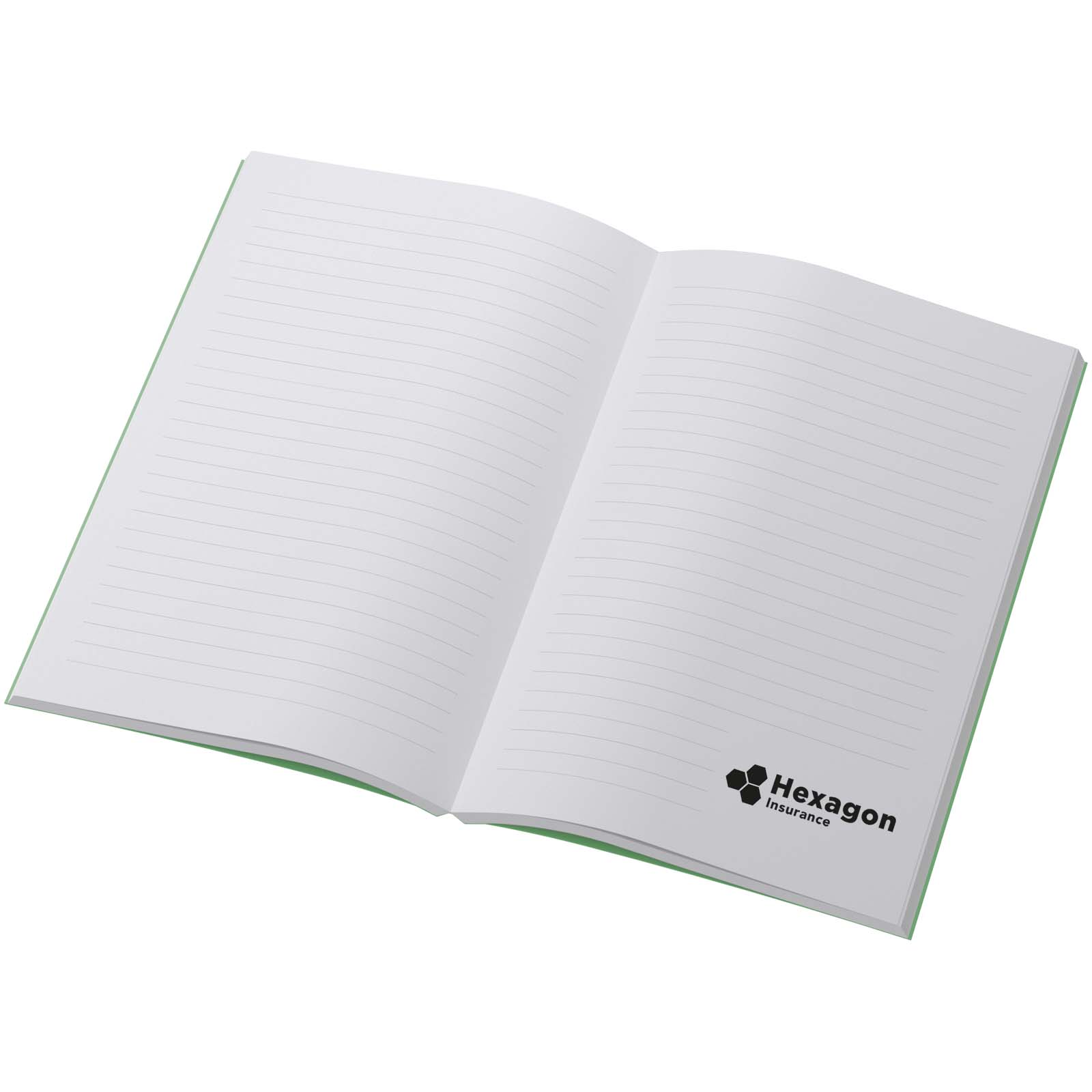 Scribe Plus A5 recyceltes Softcover Notizbuch grün