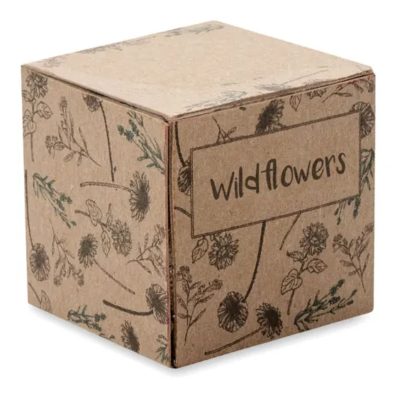 Saat-Set Wildblumen
