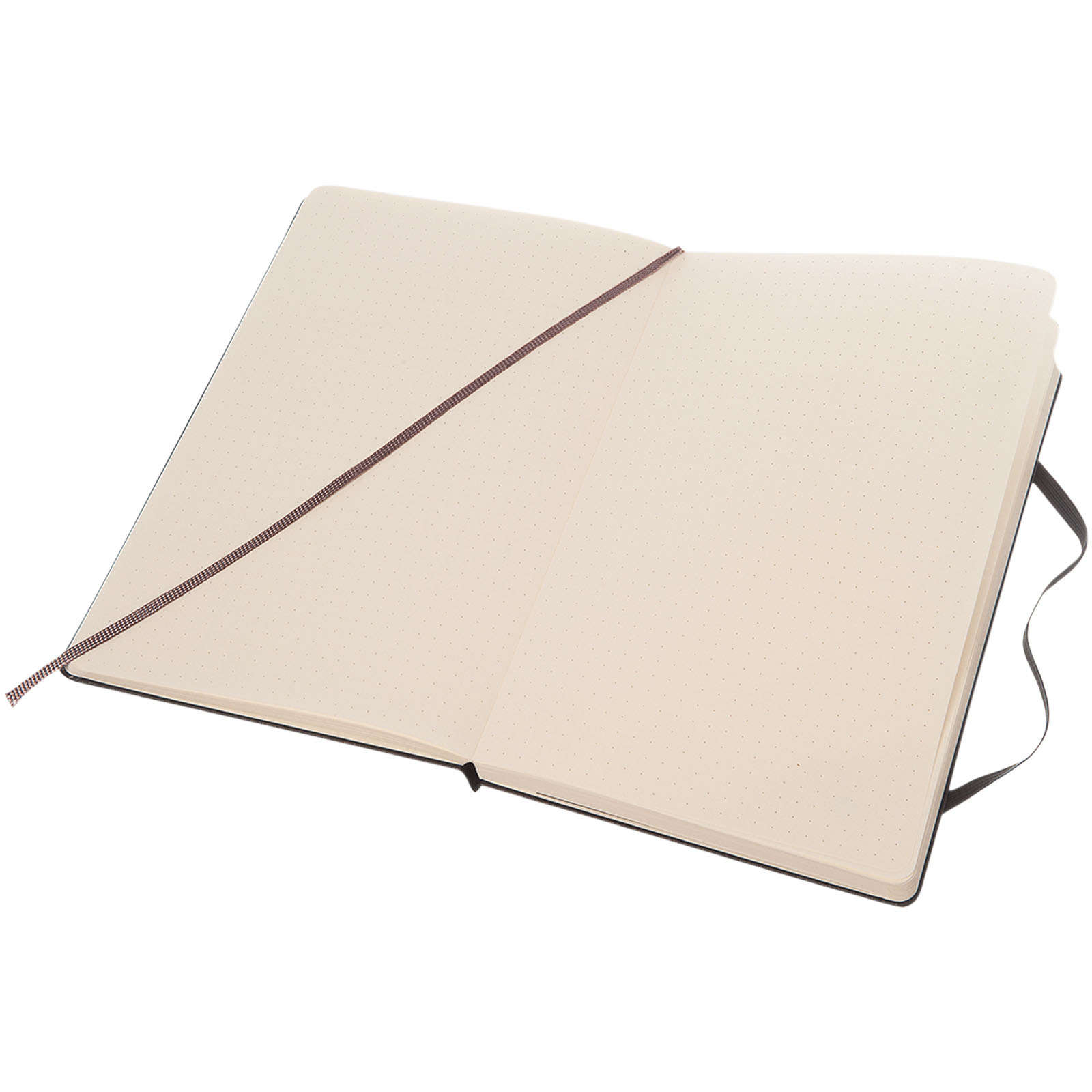 Moleskine Classic Hardcover Notizbuch L – gepunktet schwarz