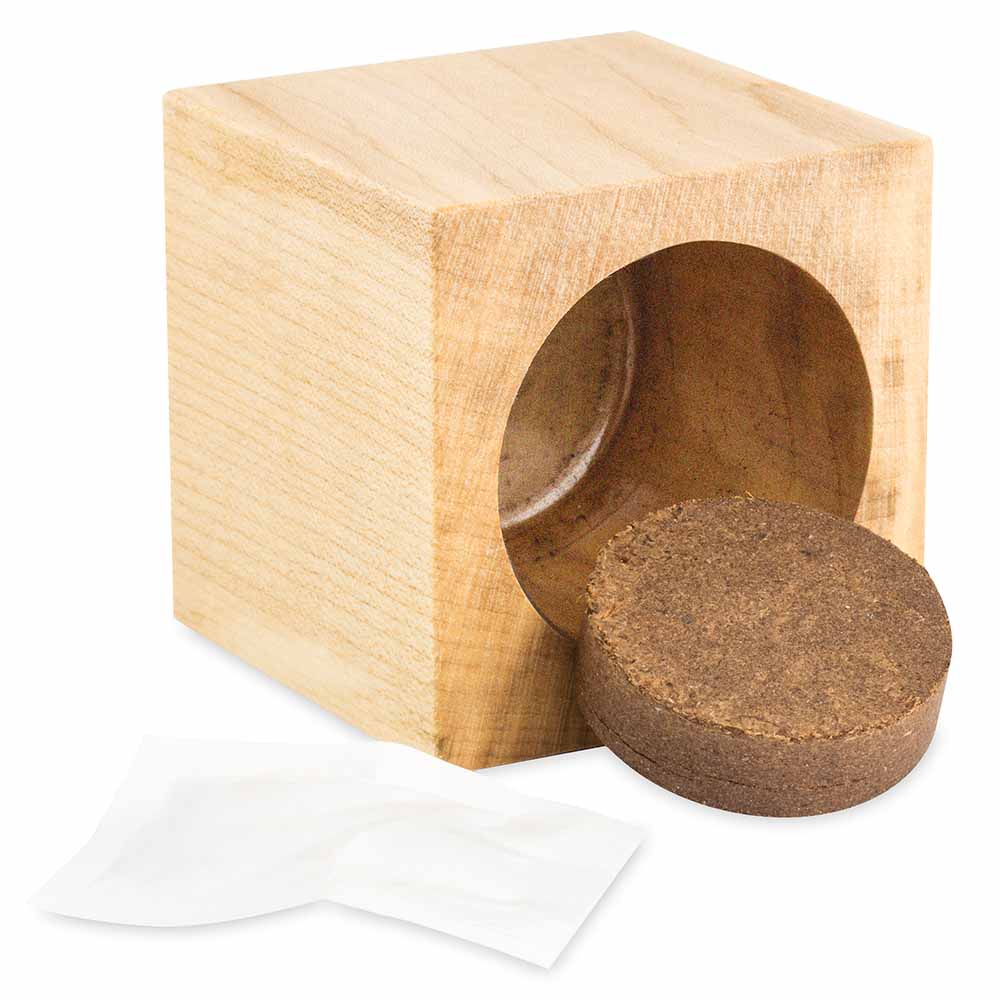 Pflanz-Holz Maxi Star-Box mit Samen
