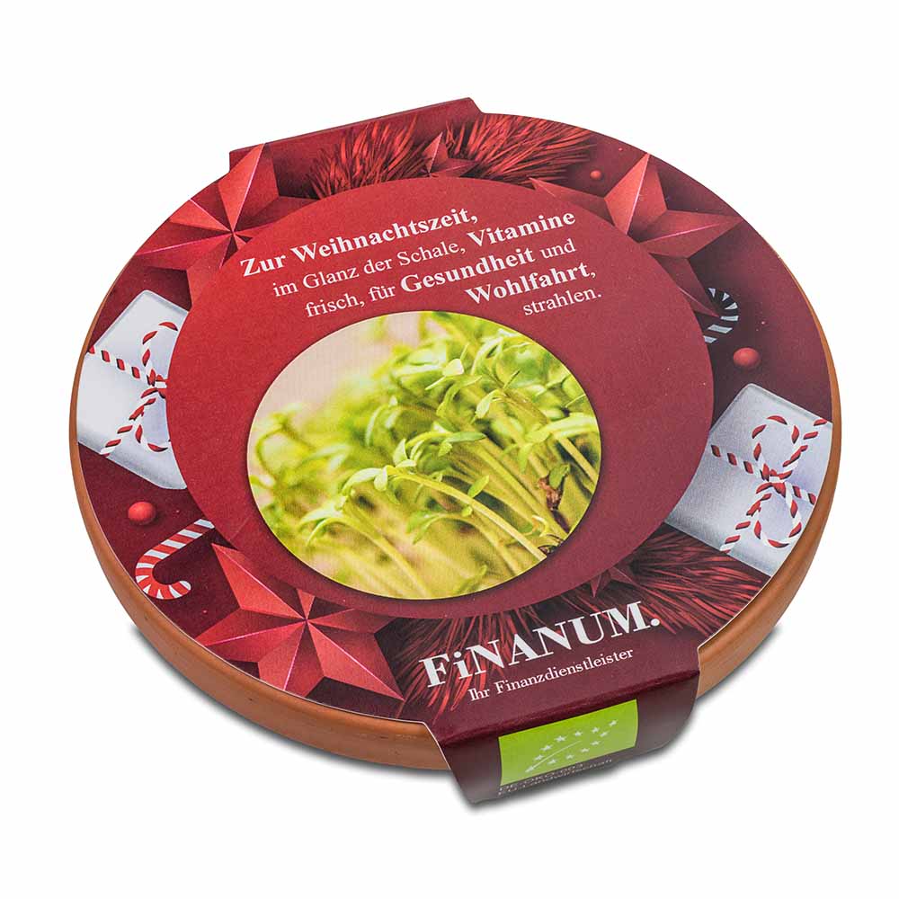 Vitamin-Schale - Weihnachten