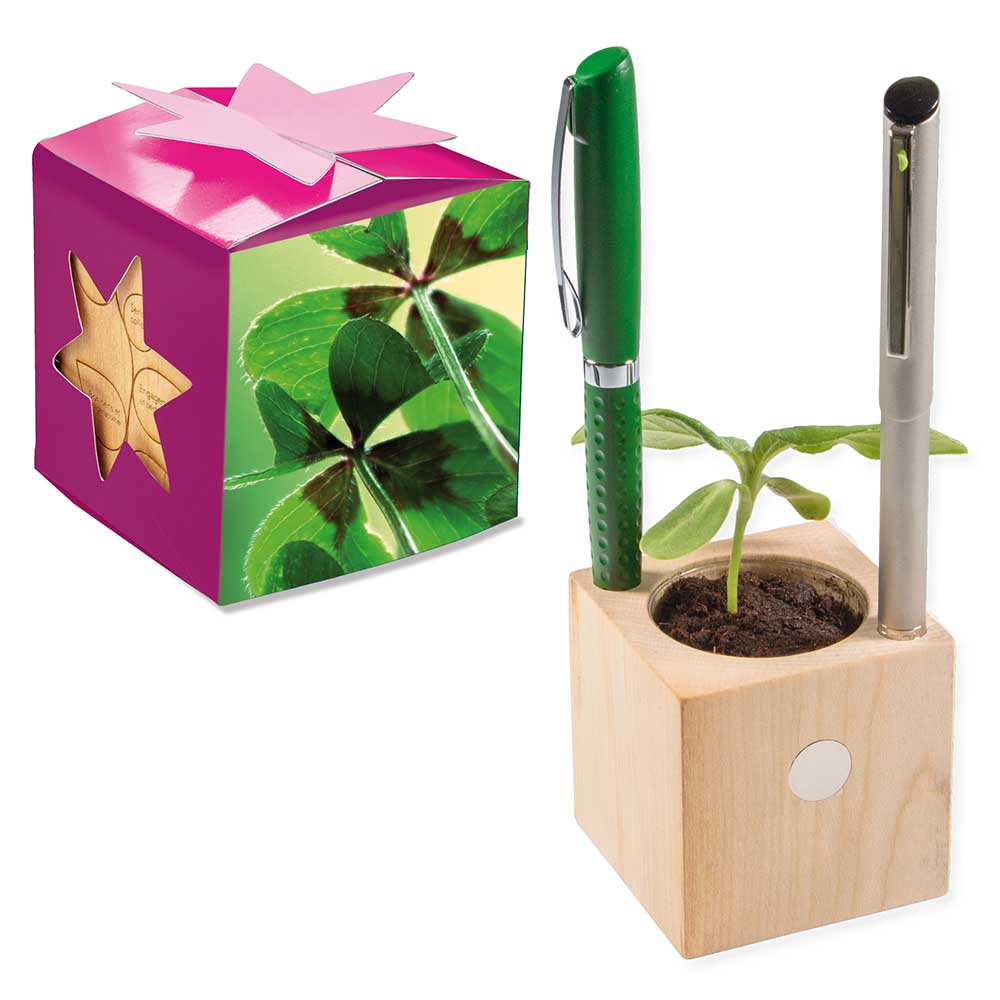 Pflanz-Holz Büro Star-Box mit Samen