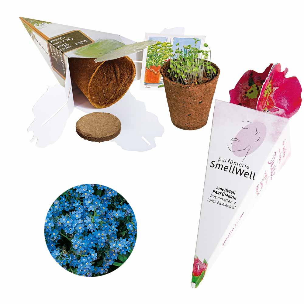 Zaubertüte - Samenset
