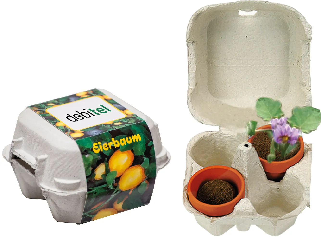 Eierbaum-Box