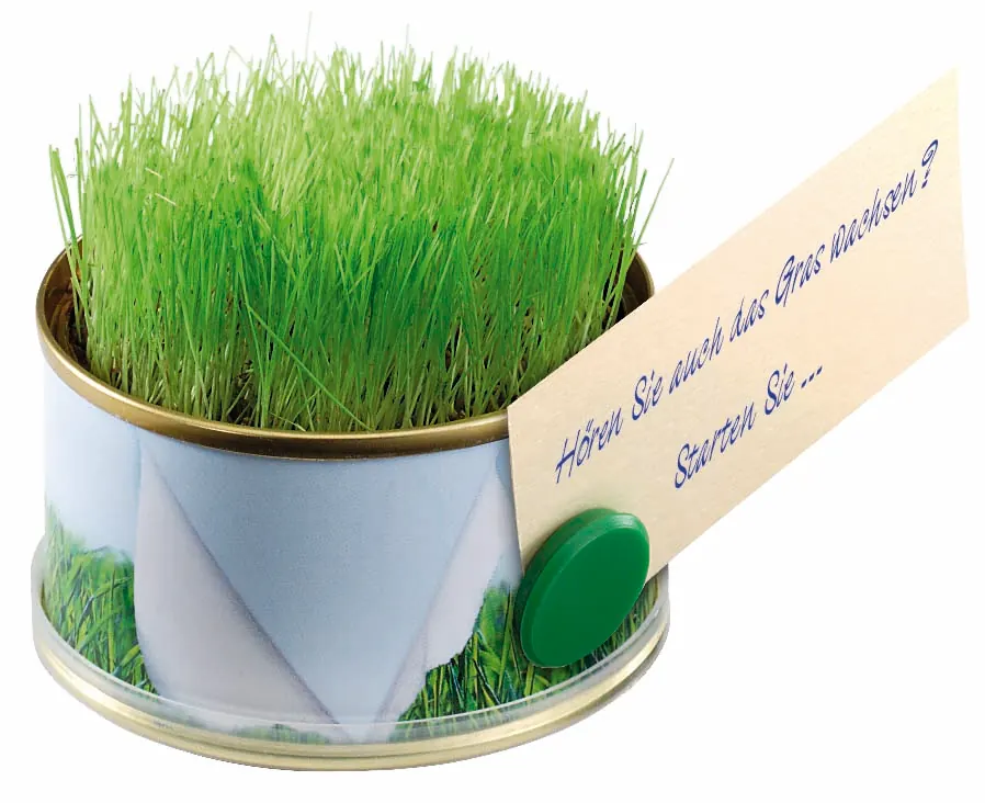 Minigarten Gras mit Magnet