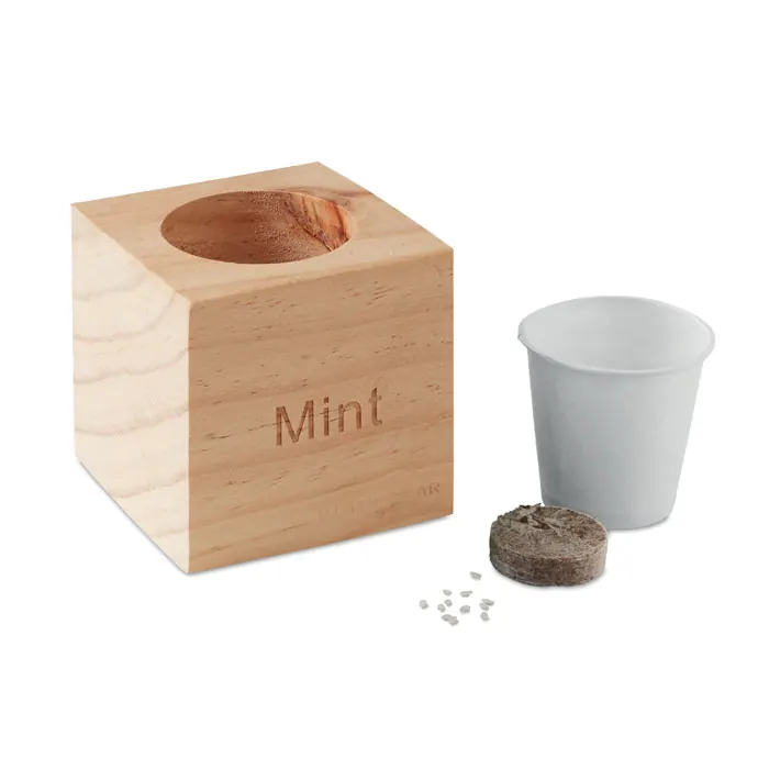 Kräuterpflanz-Set