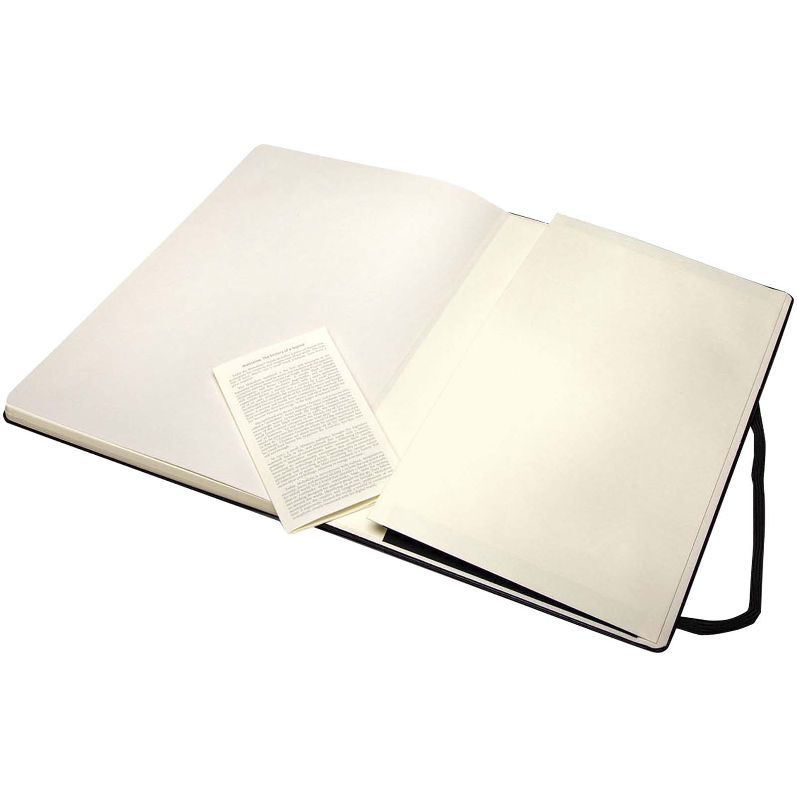 Moleskine Art Skizzenbuch A4 schwarz